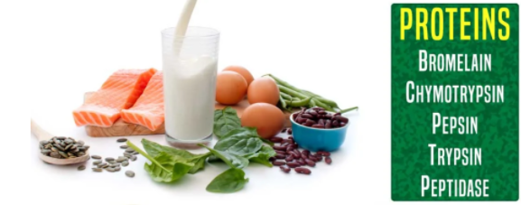 Whey Protein Neden Tek Başına Yeterli Değil?